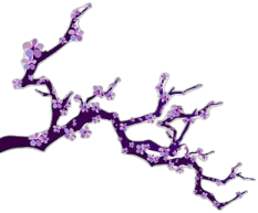 a branch with purple flowers on it