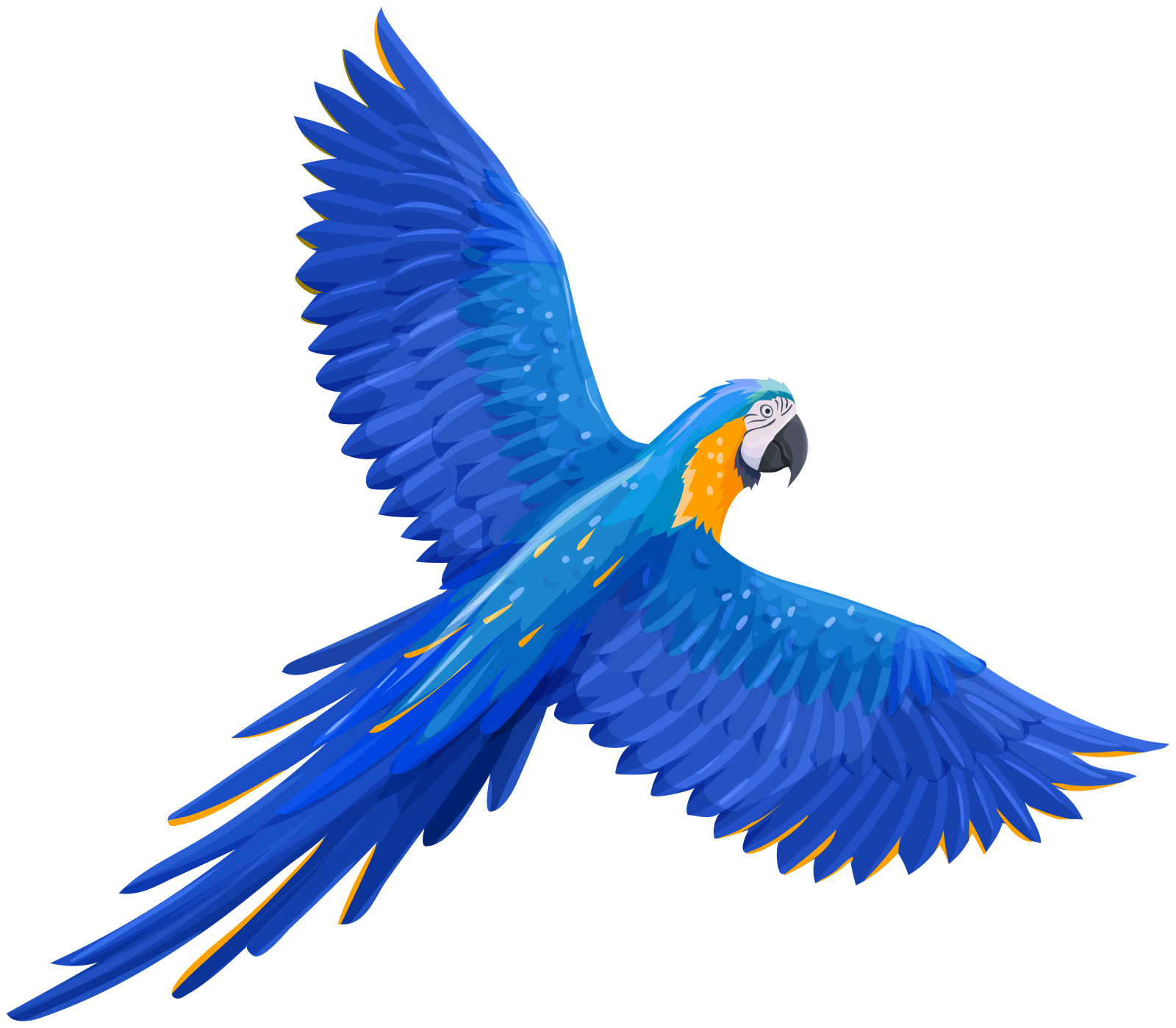 a blue parrot flying with its wings spread