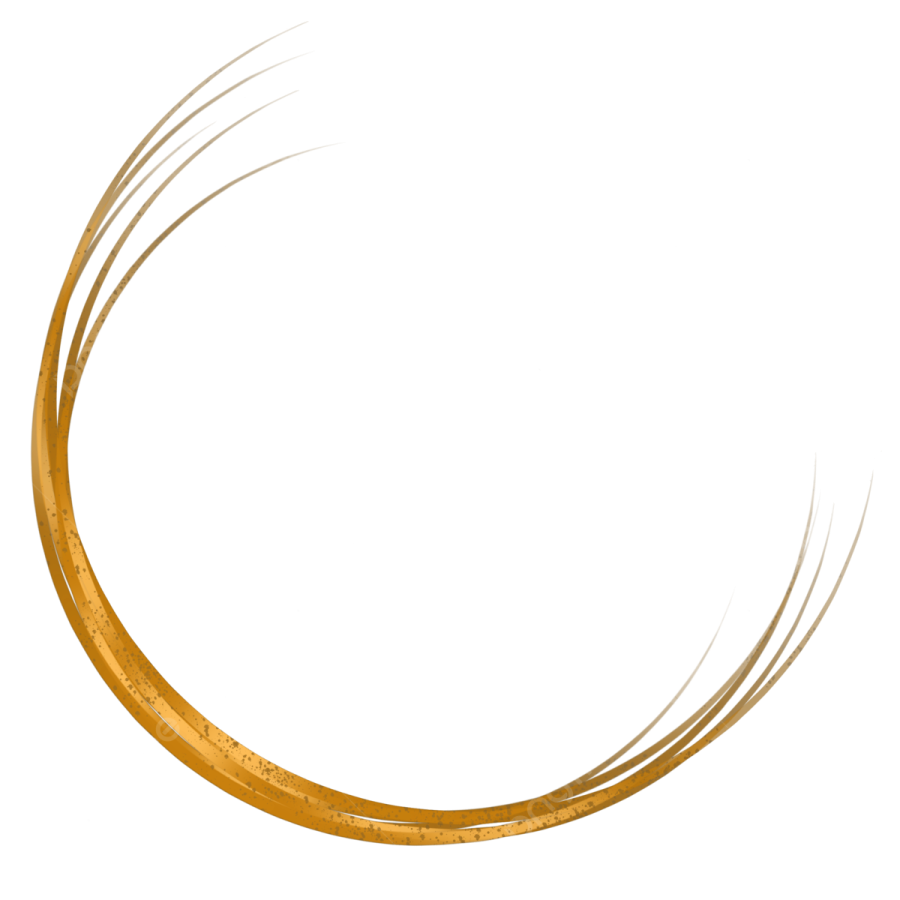 an orange circle with a white background