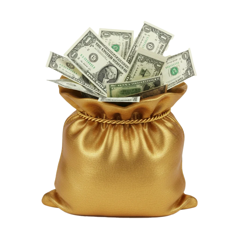 money in a gold bag
