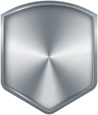 a shiny metal shield icon