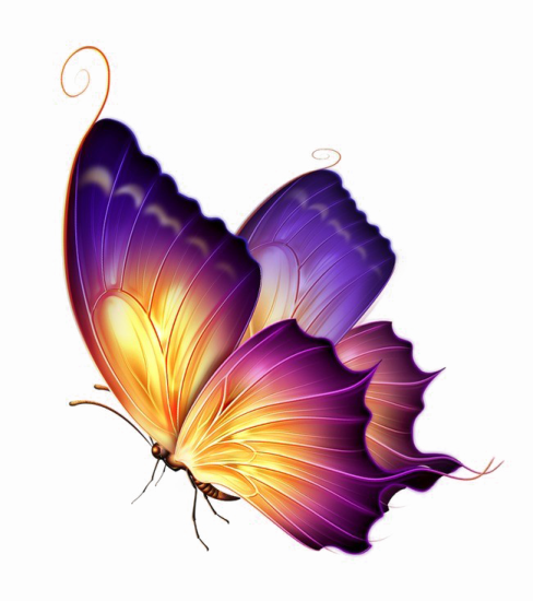 a beautiful purple and orange butterfly on a white background