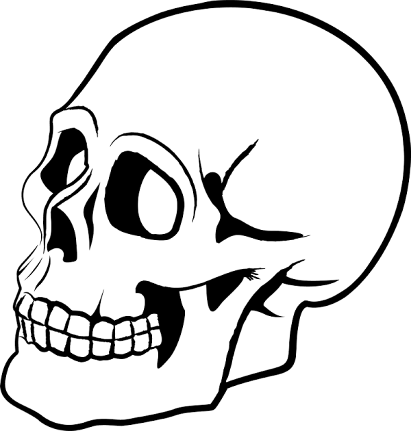 a black and white drawing of a skull