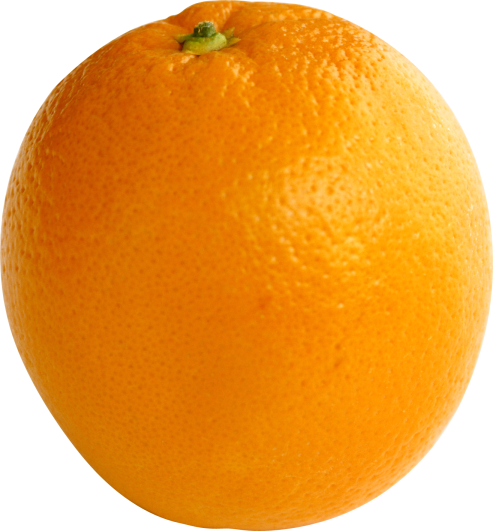 a close up view of an orange fruit