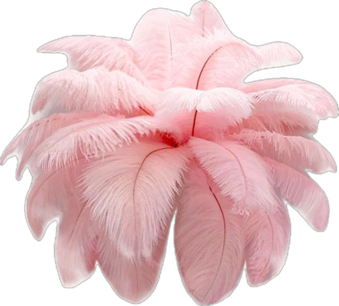 a pink feather flower