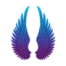 a pair of blue and purple wings