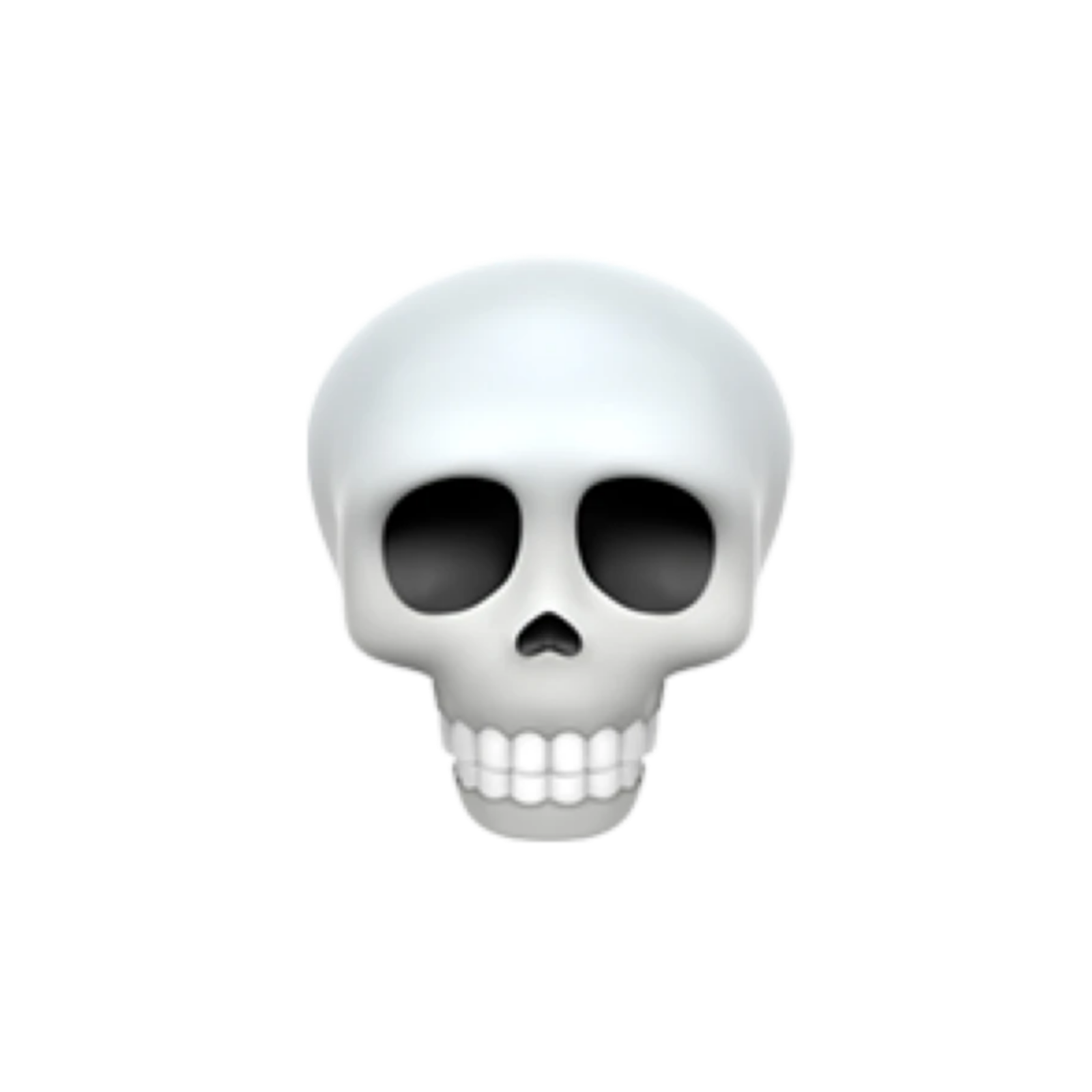 a skull on a white background