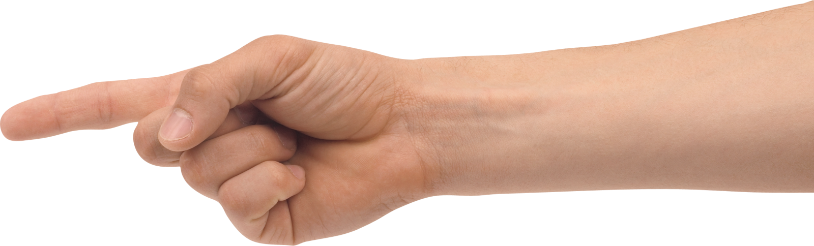 a person's hand holding an object