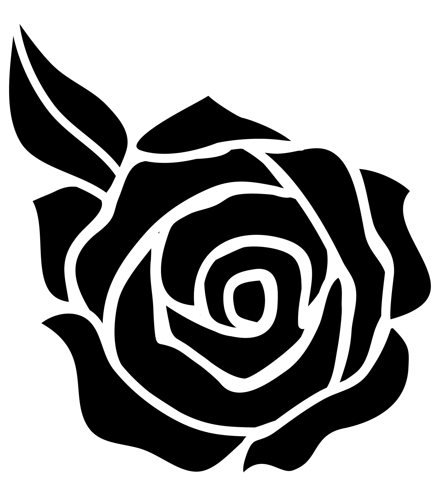 a black rose flower on a white background