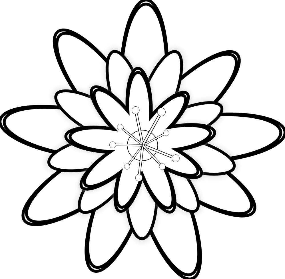 a black and white flower