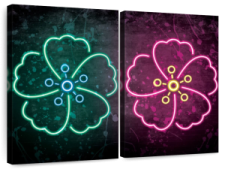two colorful neon flowers on a black background