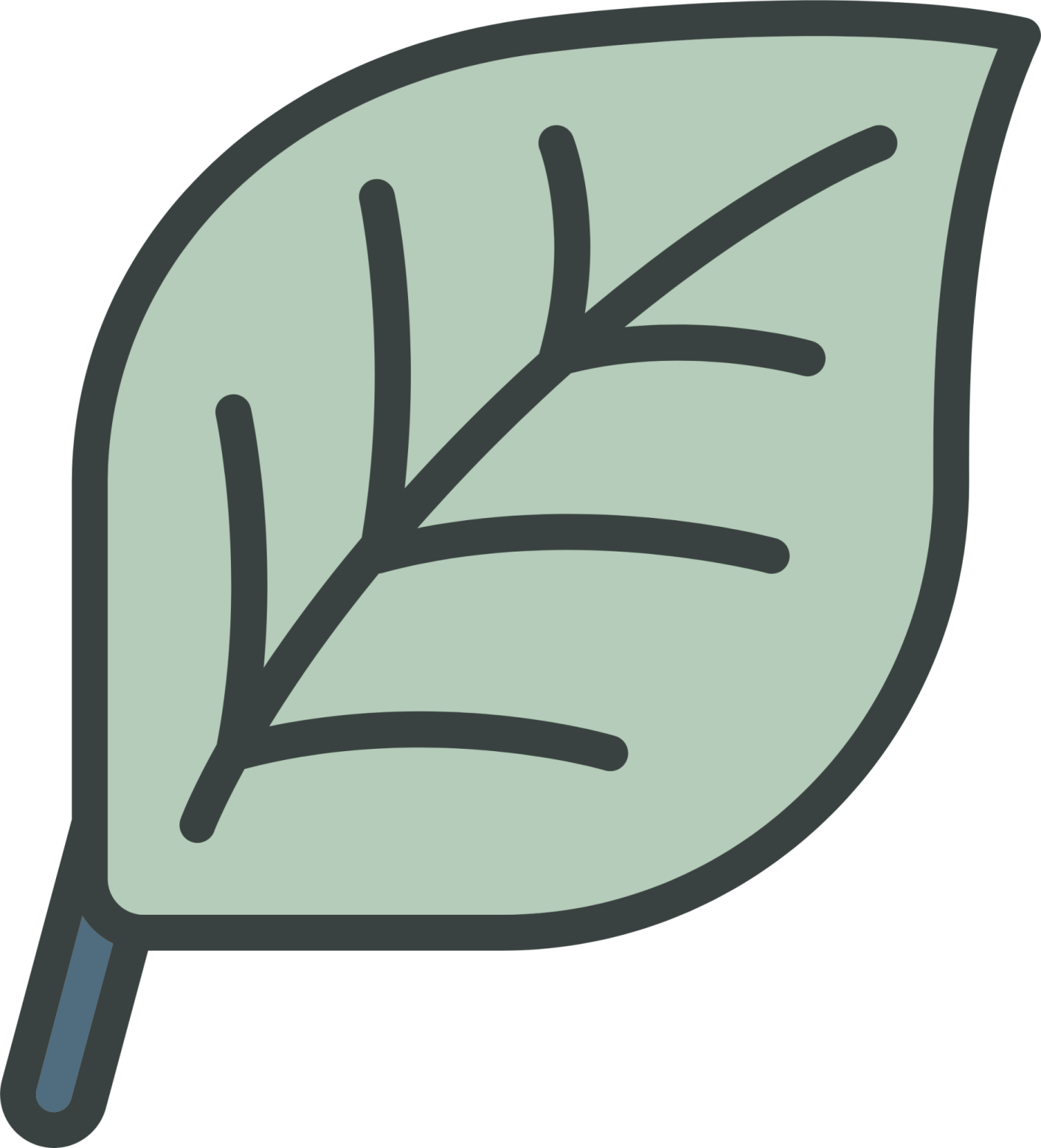 a green leaf on a white background
