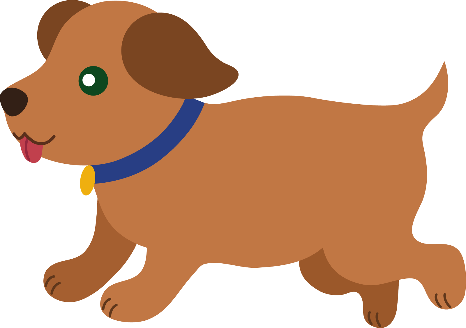 a brown dog with green eyes and a blue collar