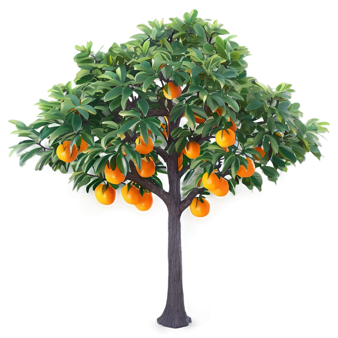 an orange tree on a white background