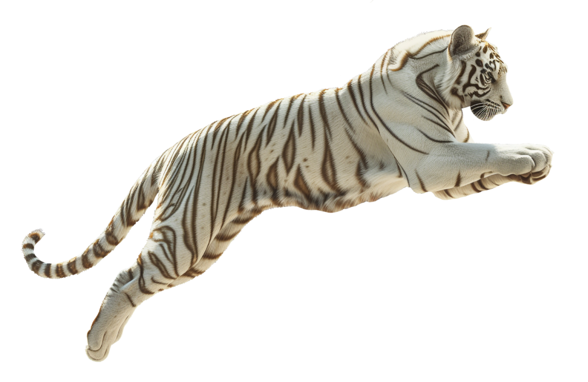a white tiger jumping in the air