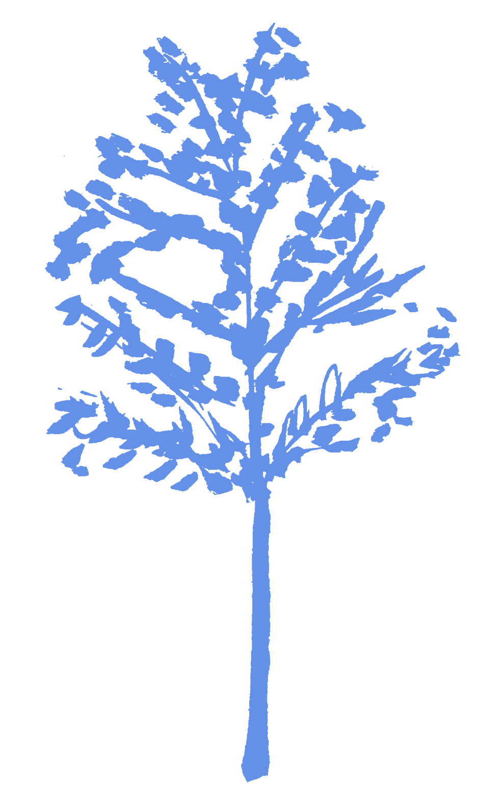 a blue silhouette of a tree