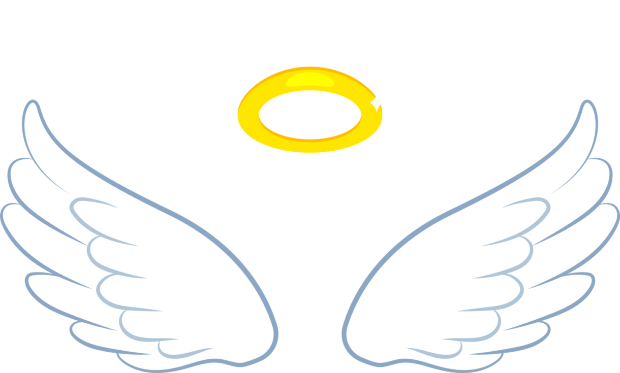 a pair of angel wings