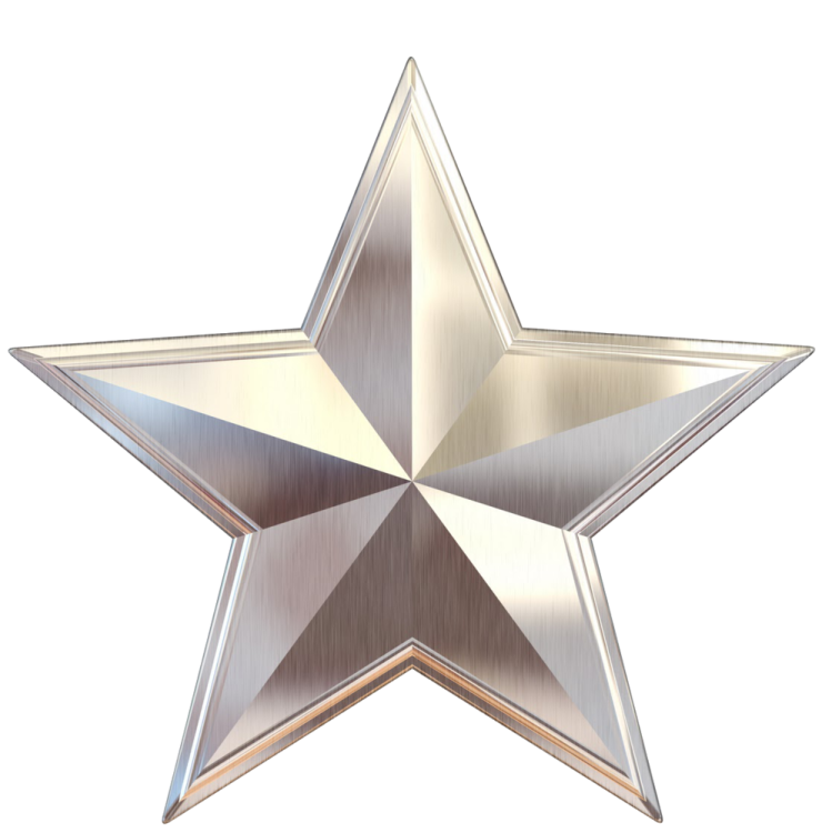 a silver star on a white background