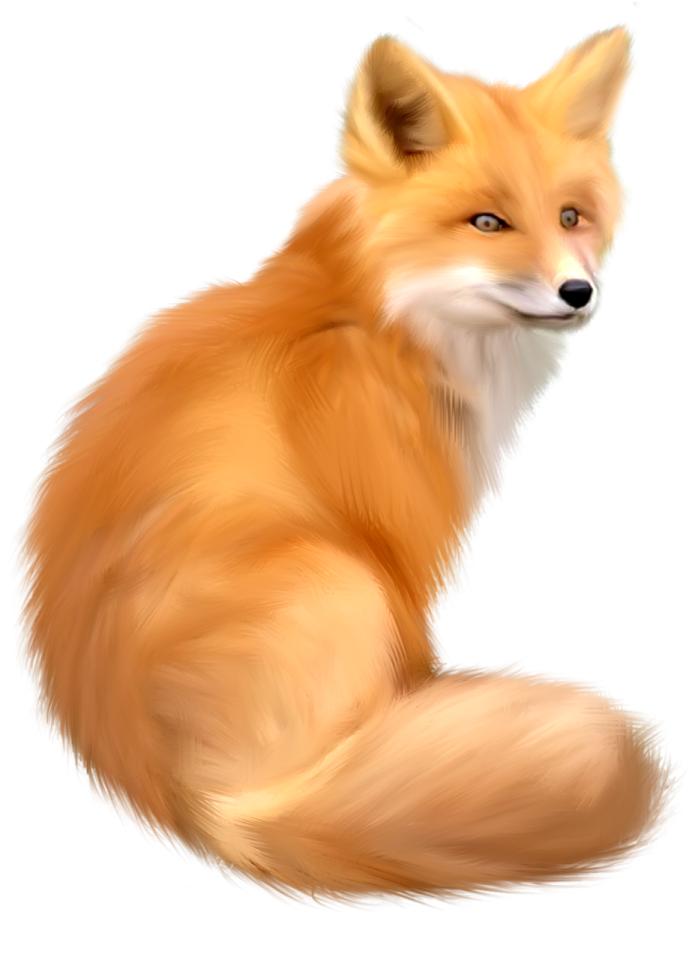 a drawing of a fox on a white background