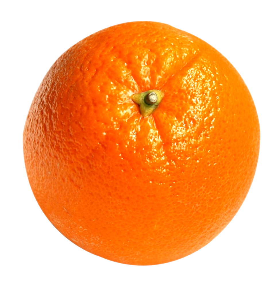an orange on a white background