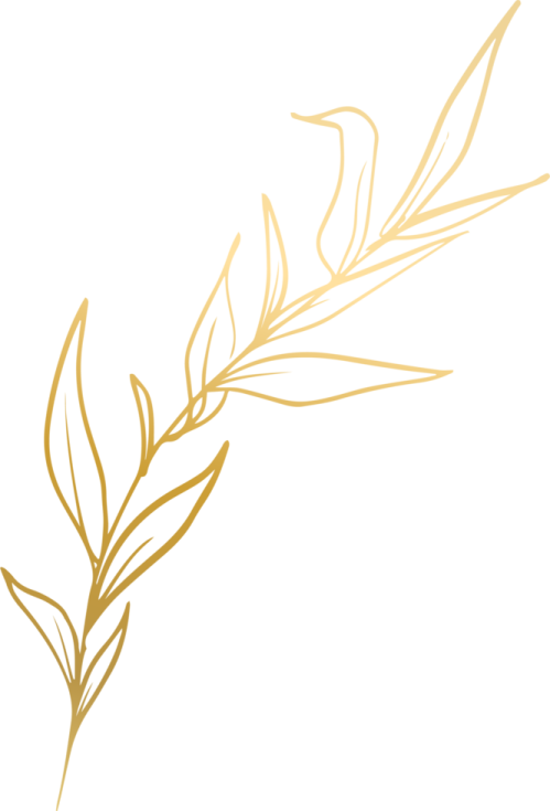 a branch with leaves on it