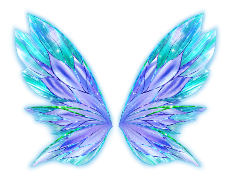 a pair of blue and green wings