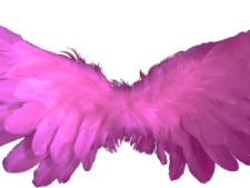 an image of a pink angel wings