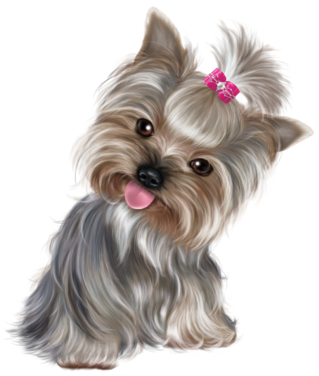 a dog with a pink bow on its head