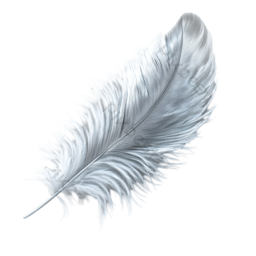 a feather on a white background
