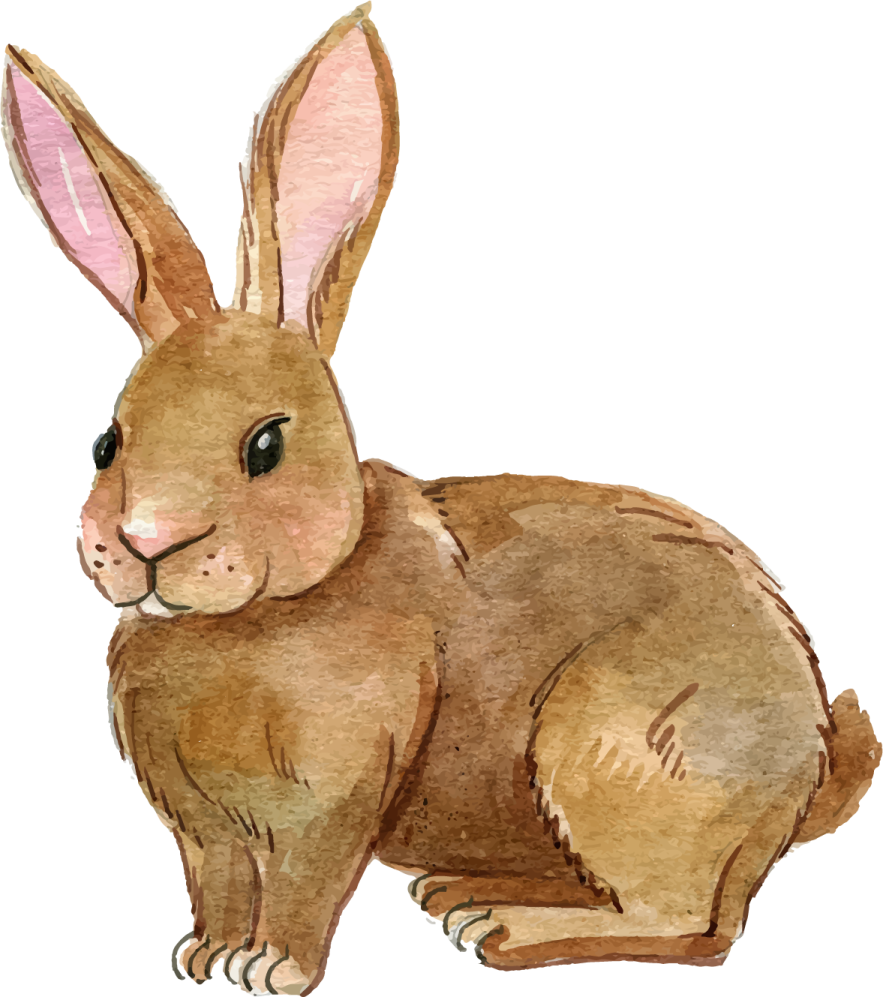 a watercolor drawing of a rabbit