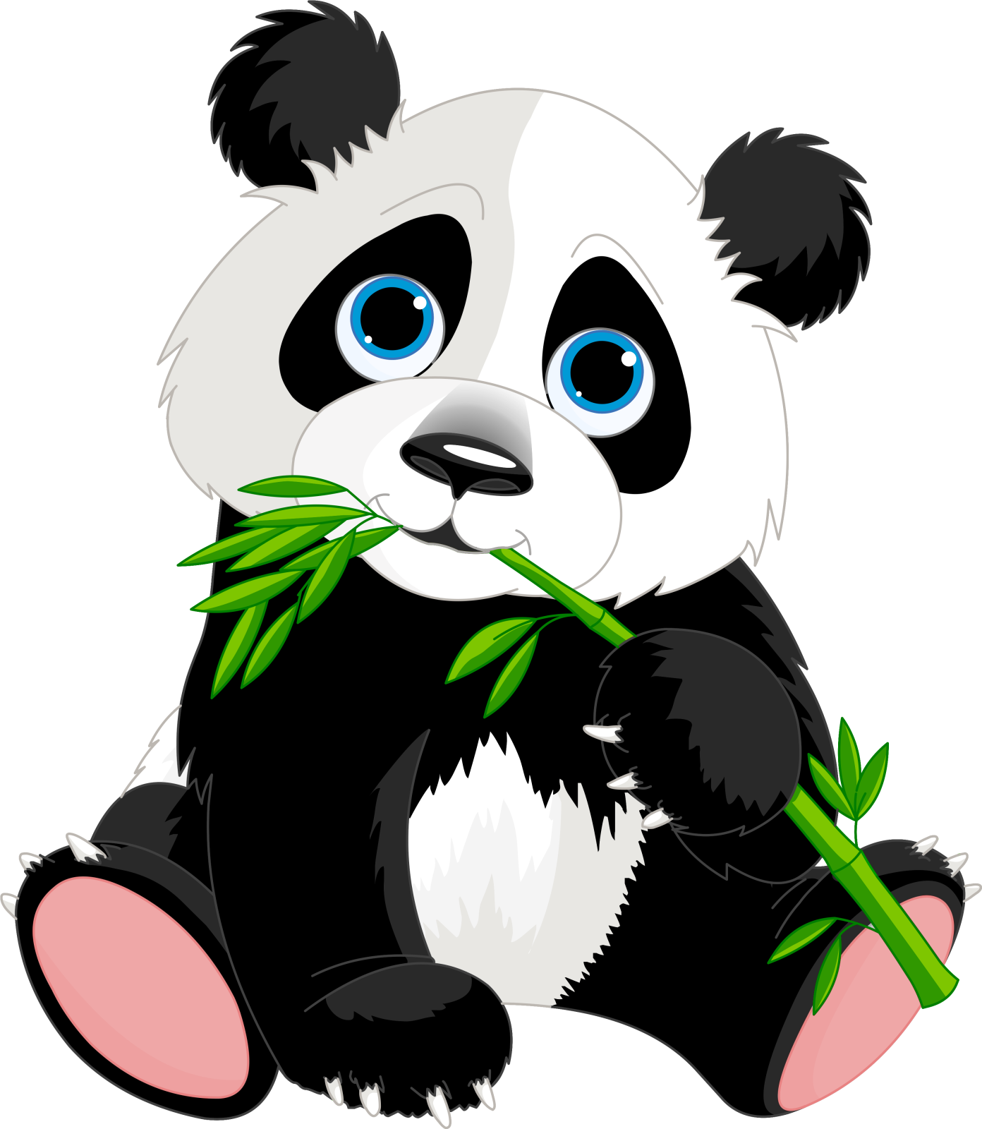 panda eating bamboo clipart