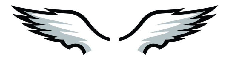 a pair of white and black wings