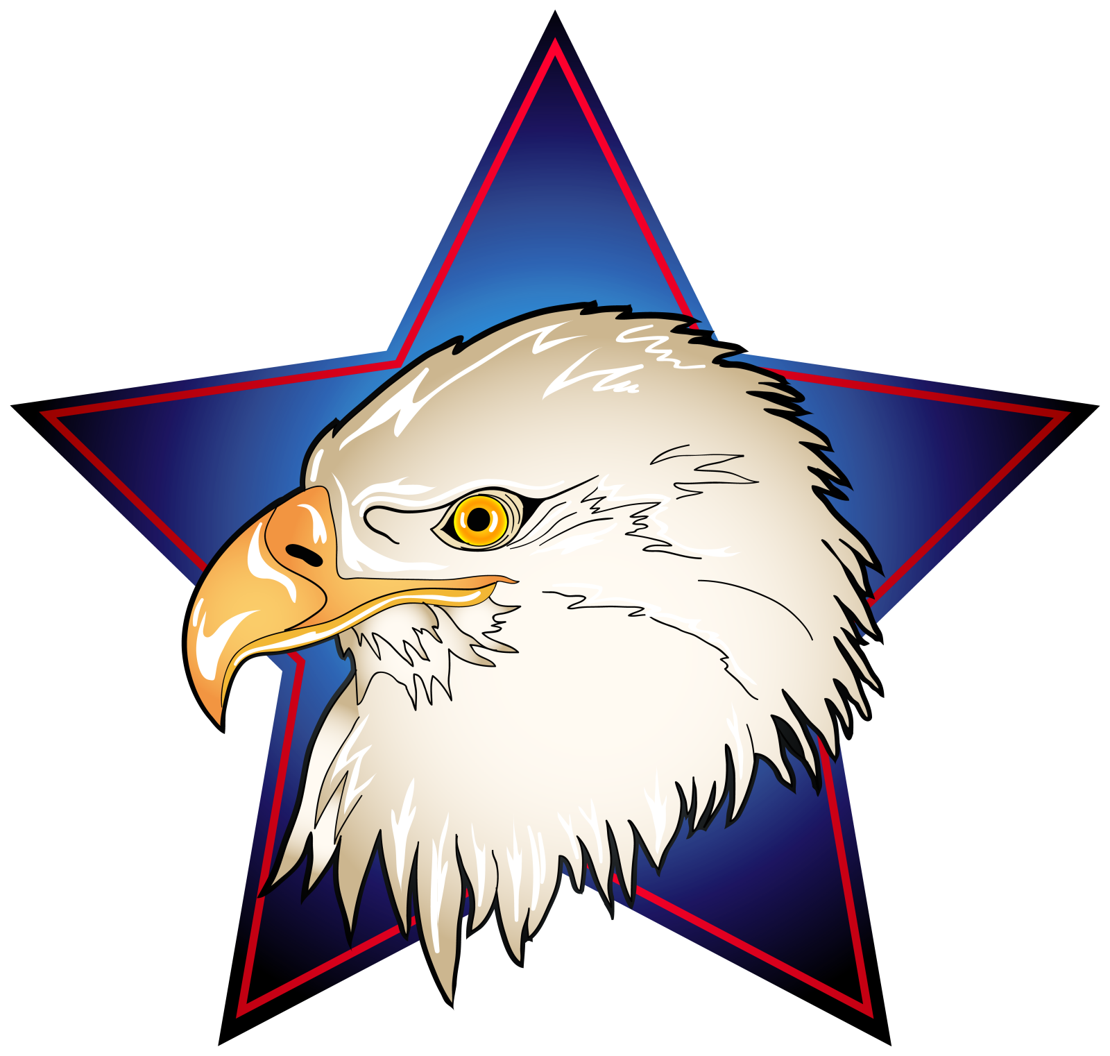 an eagle with a star in the background