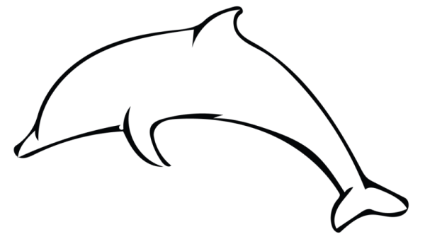 how to draw a dolphin