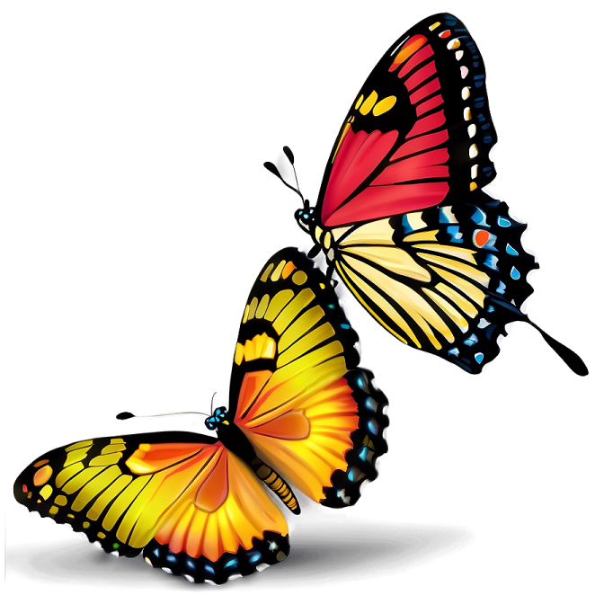 two butterflies on a white background