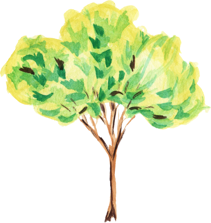 a watercolor drawing of a tree