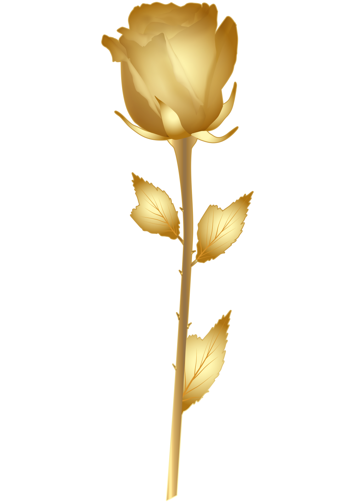 a gold rose on a white background