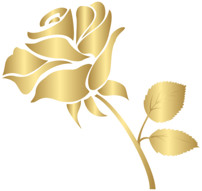 a gold rose on a white background