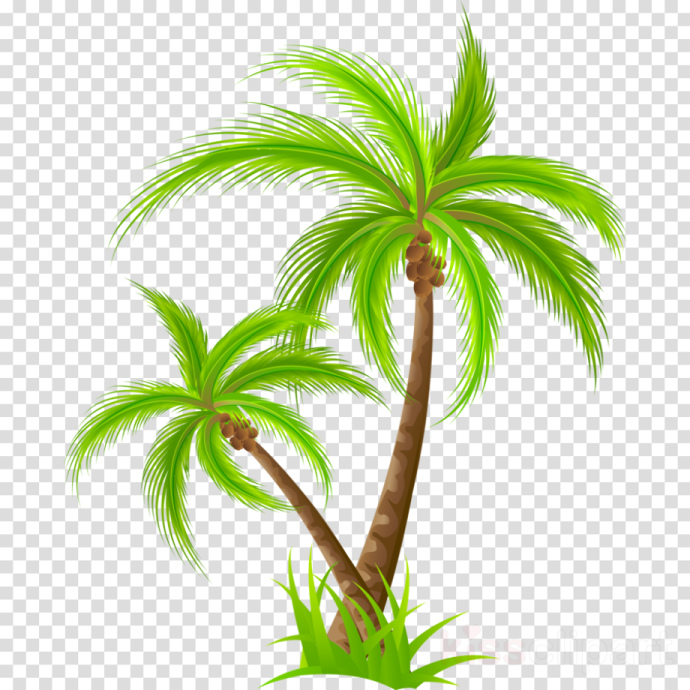 a green palm tree on a white background