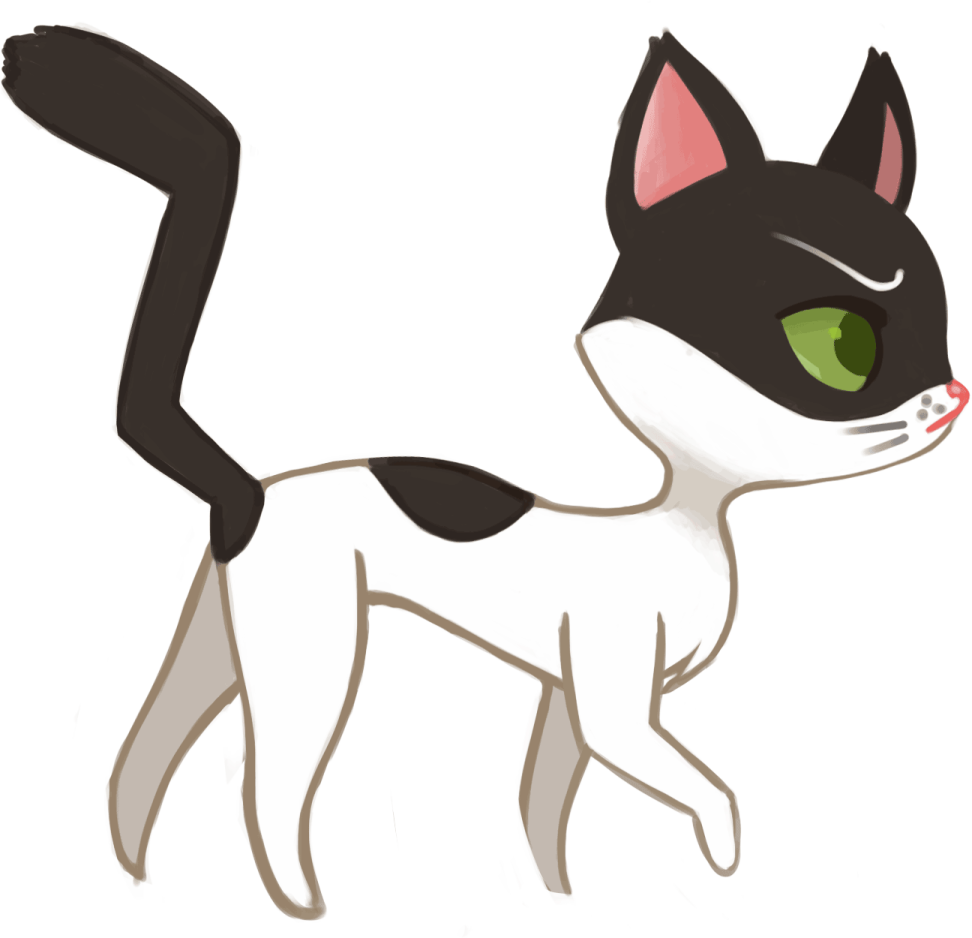 a black and white cat with green eyes