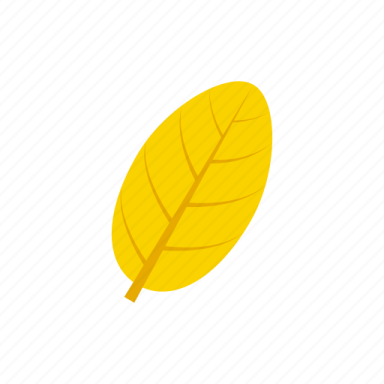 a yellow leaf on a white background