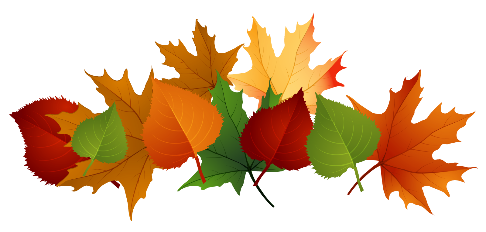 a bunch of colorful fall leaves