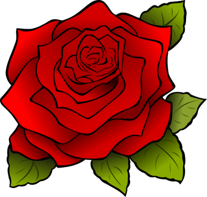 a red rose with green leaves