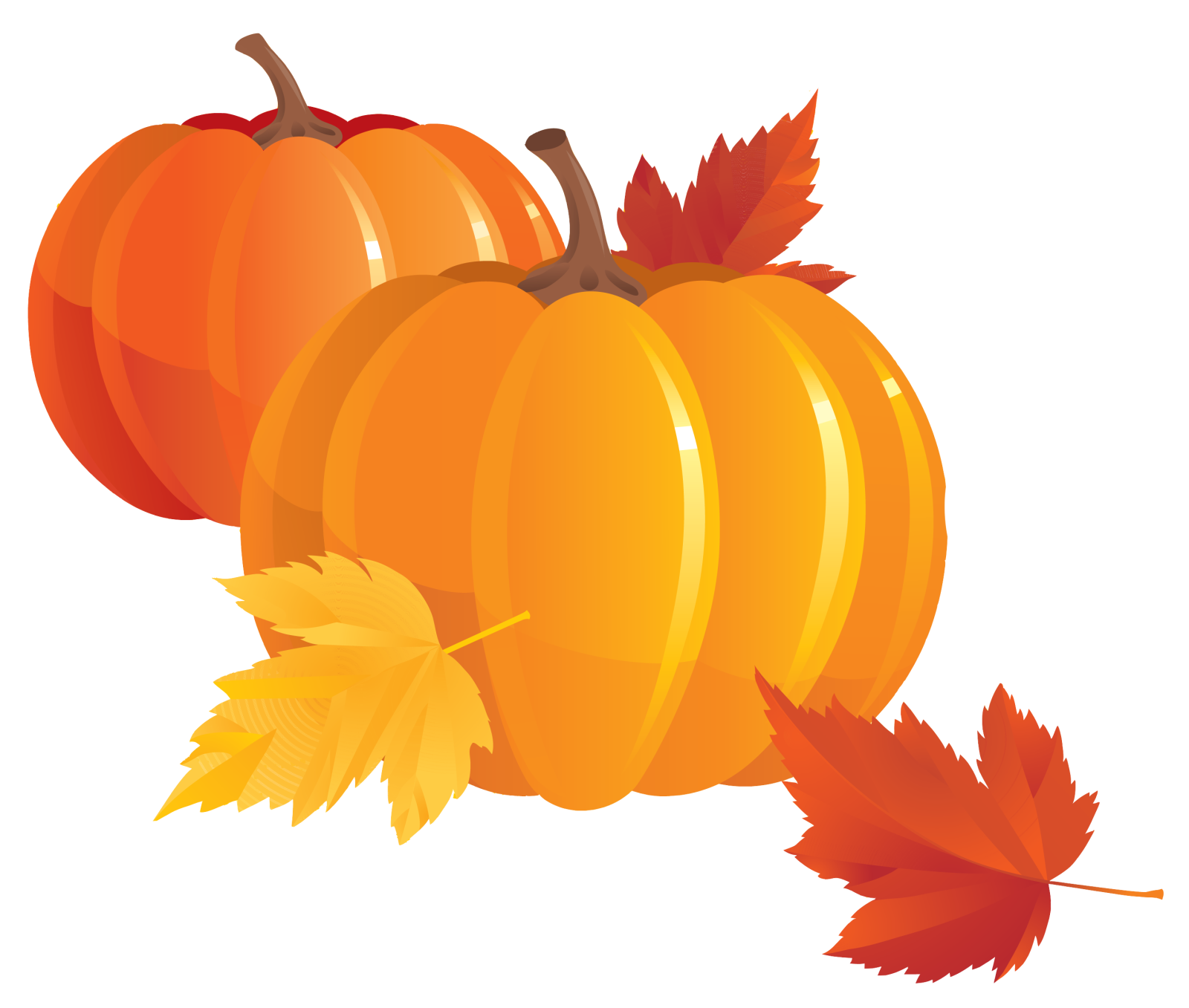 two orange pumpkins with autumn leaves