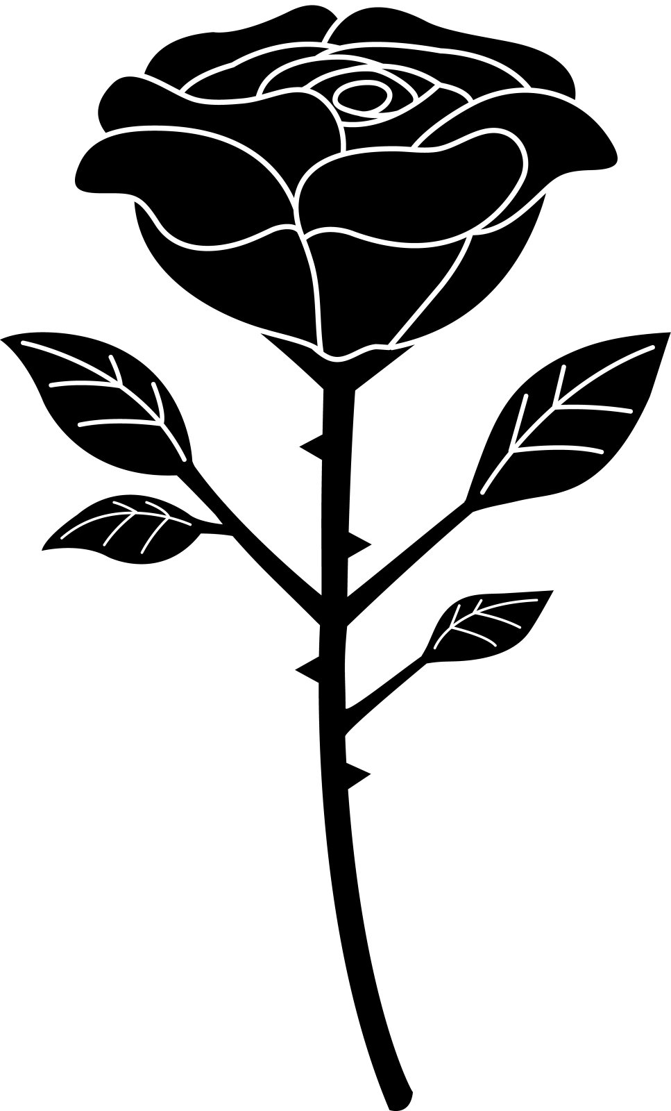 a black rose on a white background