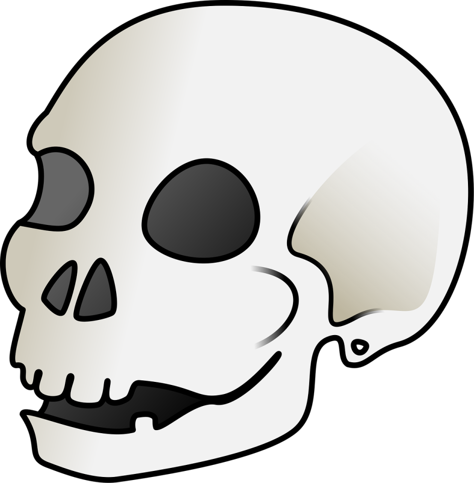 a white skull with black eyes