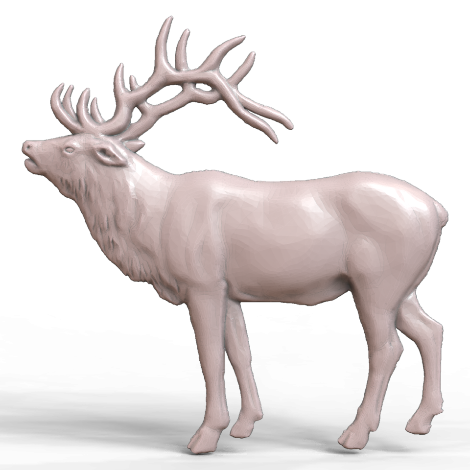 a 3d model of a deer