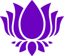 a purple lotus on a white background