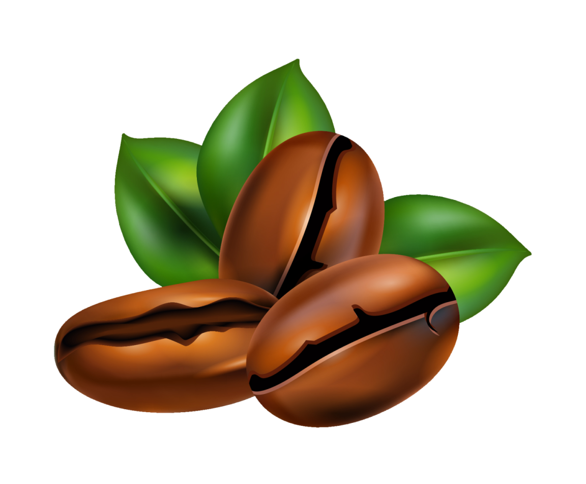 two coffee beans with green leaves