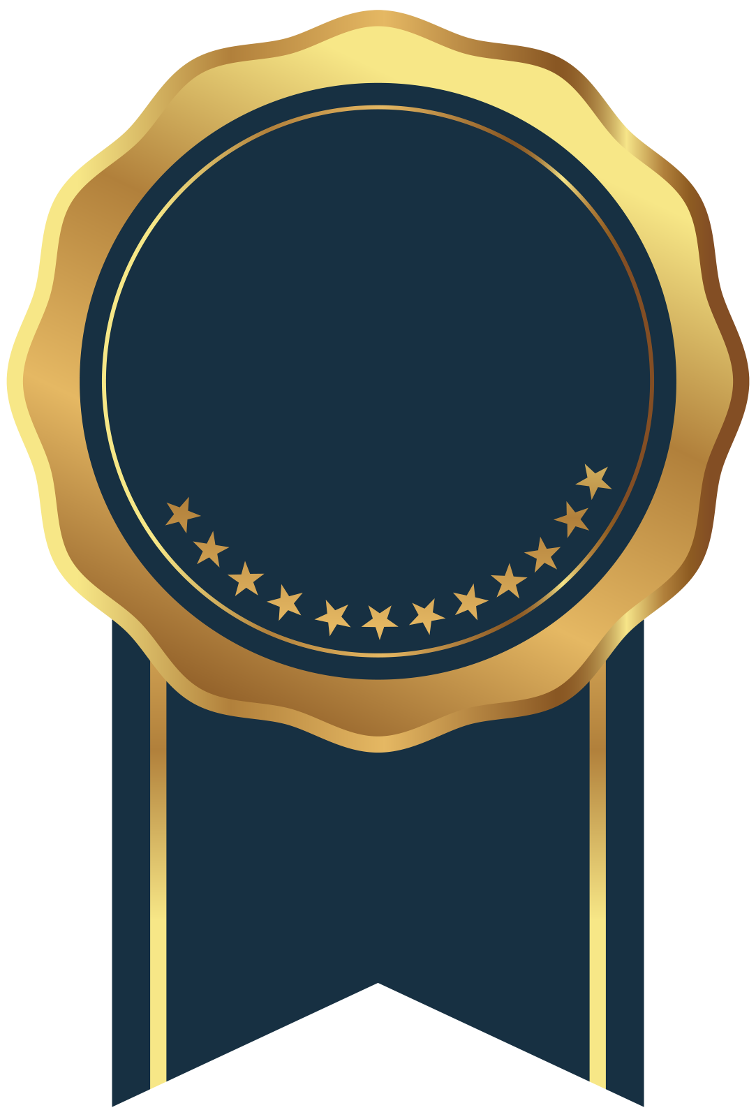 a gold medal with stars on it